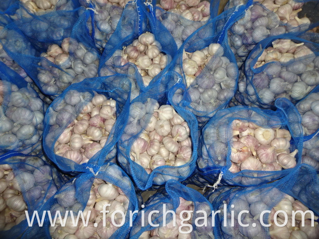 Normal Garlic Best Quality